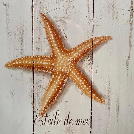 Apartment In With Sea Views *