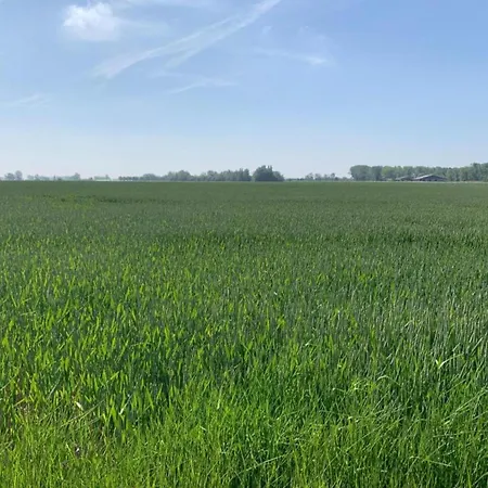 Apartment In With Sea Views *