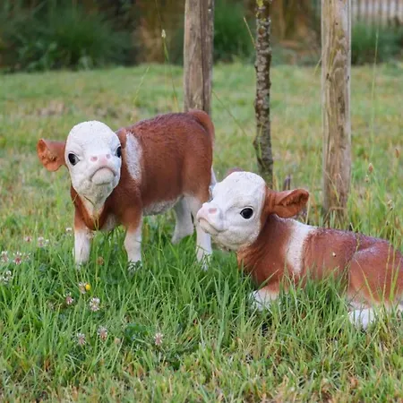 Apartment In With Sea Views Nieuwpoort