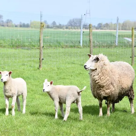 Apartment In With Sea Views Nieuwpoort