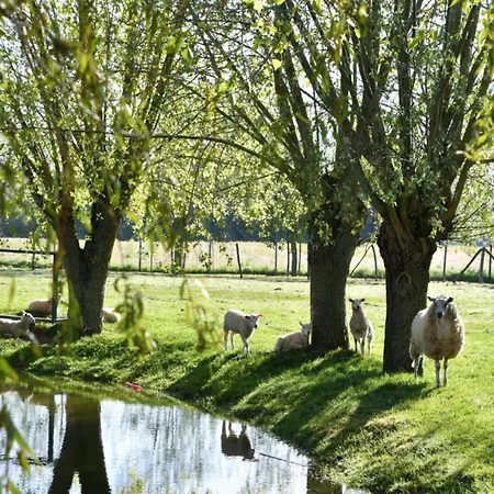 Апартаменты In With Sea Views